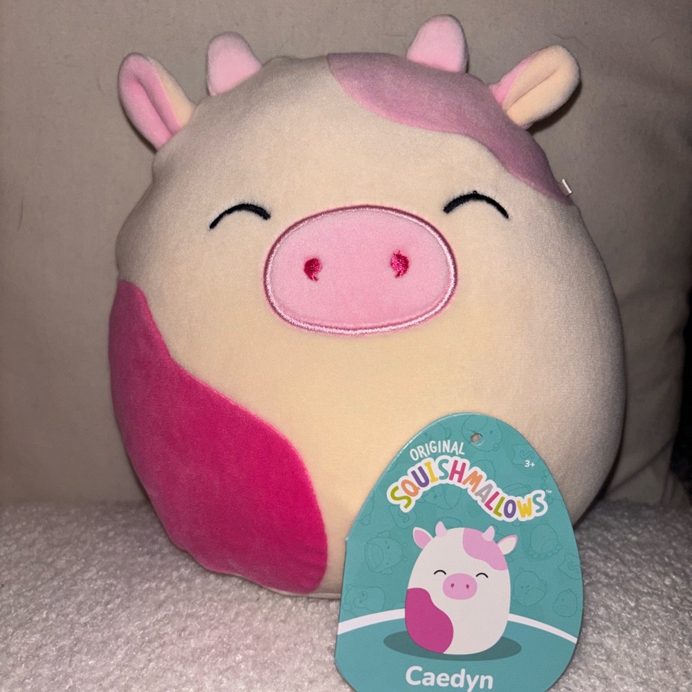 Squishmallows Caedyn hot Pink, light pink and Cream Plush